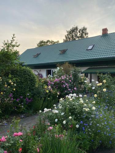 Hostal Searooms Ragaciems