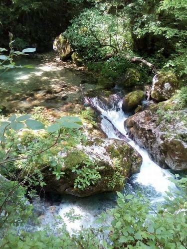Apartman Kameno Vrelo