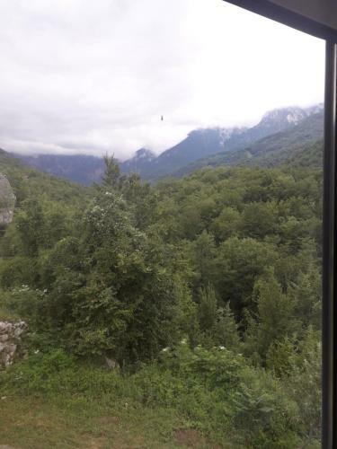 Apartman Kameno Vrelo