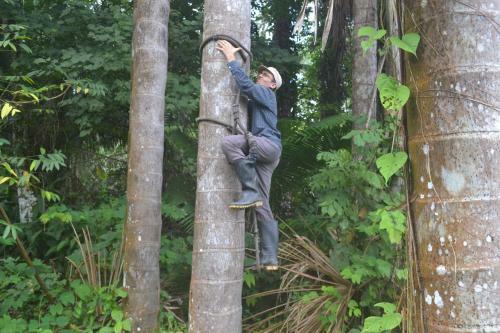 Albergue Amazon Exploring Expedition - Eretzen T� Lodge