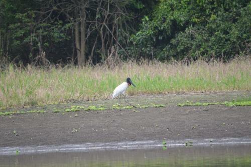 Albergue Amazon Exploring Expedition - Eretzen T� Lodge