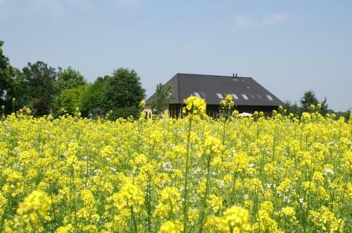 B&B De Luijenbergh