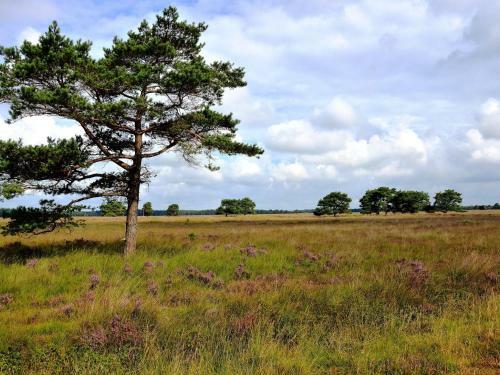 Agroturismo Logement Bakker