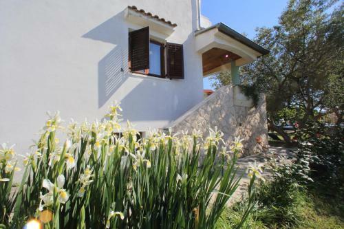 Apartments Vala