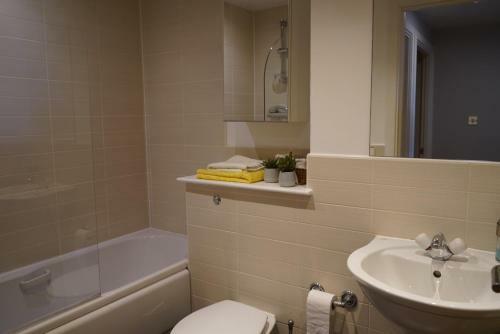 Entire Apartment - Next To The Ssec & Ovo Hydro