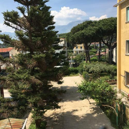Apartamento Tulipano