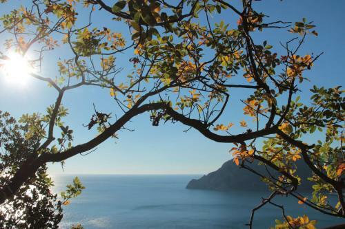 Apartamento Chez Tamara With Private Parking And Air Conditioned