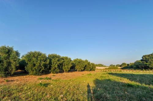 Bed & Breakfast Oasi Degli Allori
