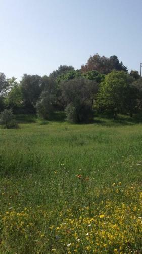 Bed & Breakfast Oasi Degli Allori