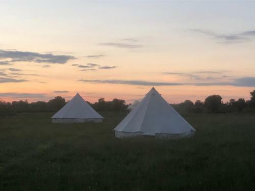 Buttercup Bell Tent In The Broads National Park