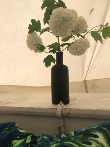 Buttercup Bell Tent In The Broads National Park