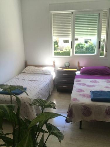 Residencial Aqua - La Pineda