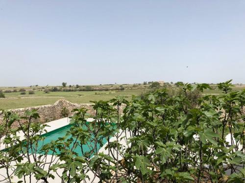 Agroturismo Le Maria Country Luxury Villa