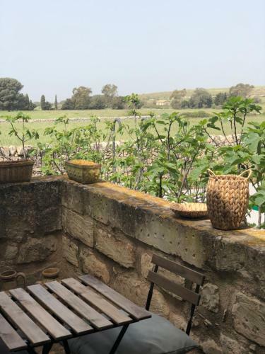Agroturismo Le Maria Country Luxury Villa