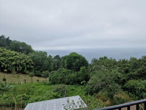 Hostal Pensi�n Tximistarri