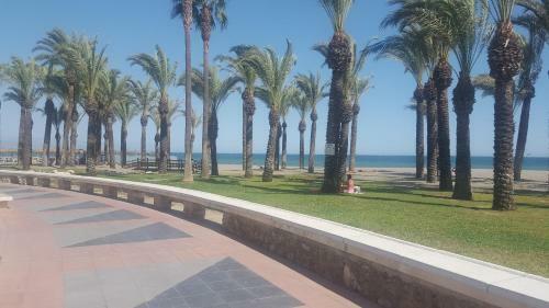 Apartamento Primera L�nea De Playa