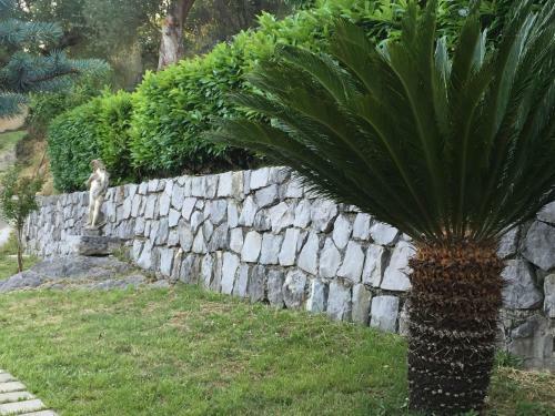 Apartamento Agriturismo La Valle Degli Ulivi
