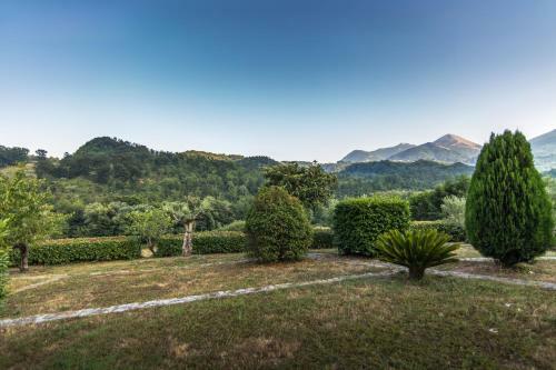 Apartamento Agriturismo La Valle Degli Ulivi
