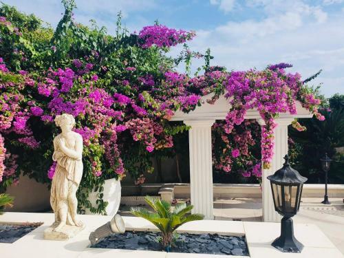 Villa Cap Holidays