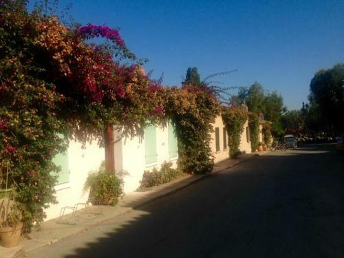 Voilier A Quai Porquerolles