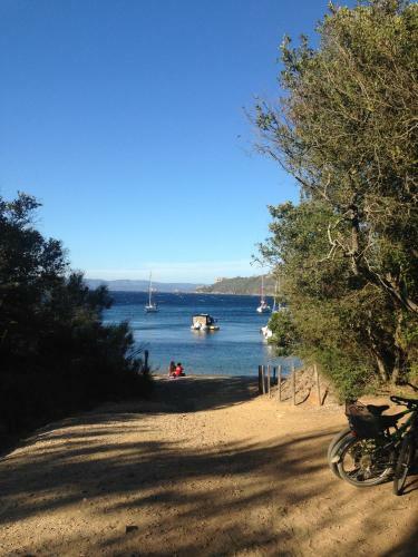 Voilier A Quai Porquerolles