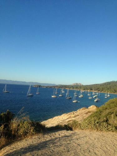 Voilier A Quai Porquerolles