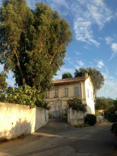 Voilier A Quai Porquerolles