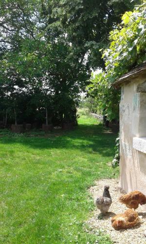 Hostal La Vigneraie