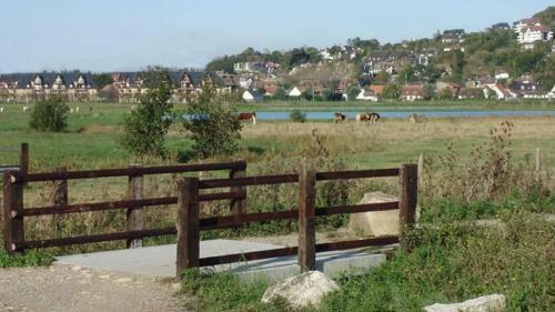 Apartamento Terrasse Vue Mer