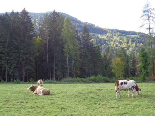 Agroturismo Ferienwohnungen Monika Unterluggauer