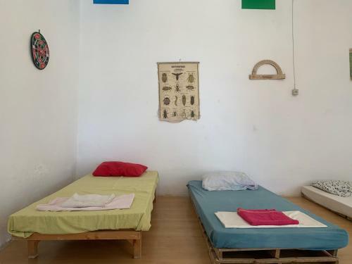Shkolla Hostel & Camping