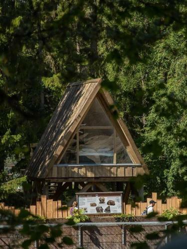 �ht�ri Zoo Villa Ursus