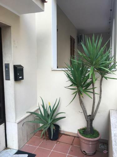 Sardinia B&B