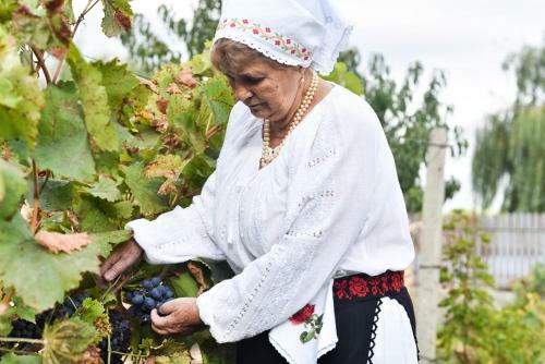 Agroturismo C?su?a De L�ng? Lac