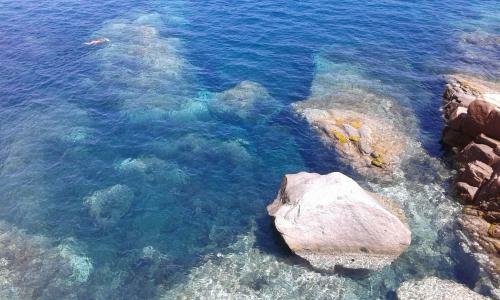 Apartamento Il Sughereto