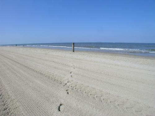 Chalet Bonanza - Texel