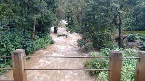 Siderbhan Homestay Chikmagalur