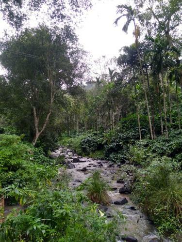 Siderbhan Homestay Chikmagalur