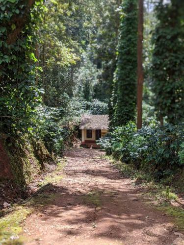 Siderbhan Homestay Chikmagalur