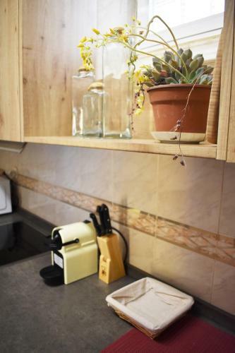 Apartamento Vut Comuneros