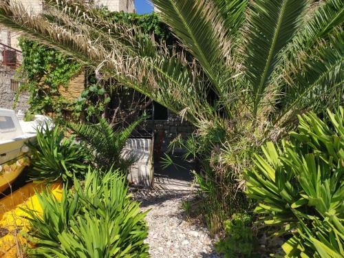 Apartamento Beach House Gusla