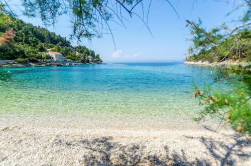 Holiday House Kata-babina