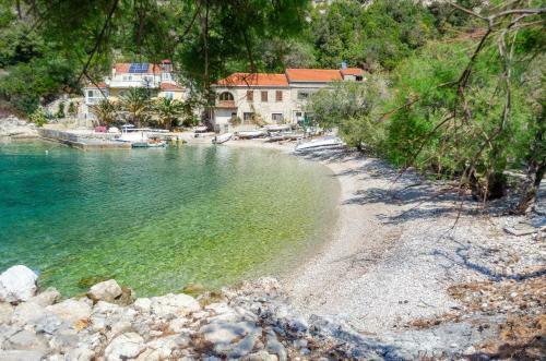 Holiday House Kata-babina