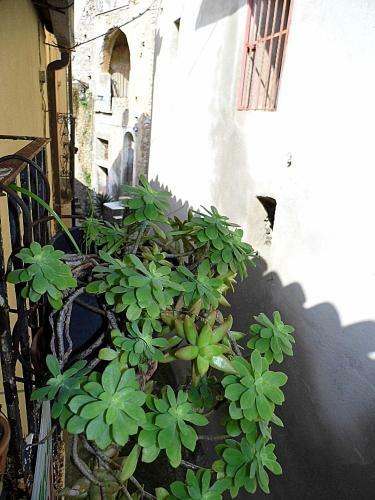 Apartamento La Casina Del Destro