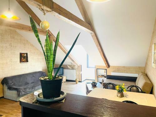 Beautiful Apartment On Atoneli