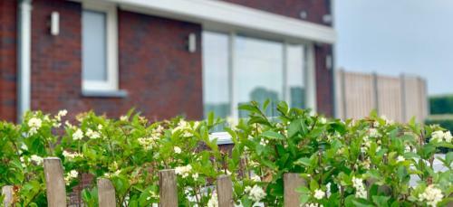 Groede B&B
