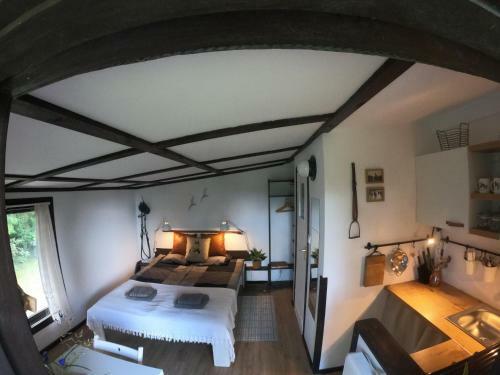 Apartament Lajkonik