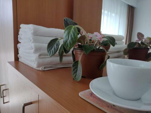 Agroturismo Vila Luna Poema