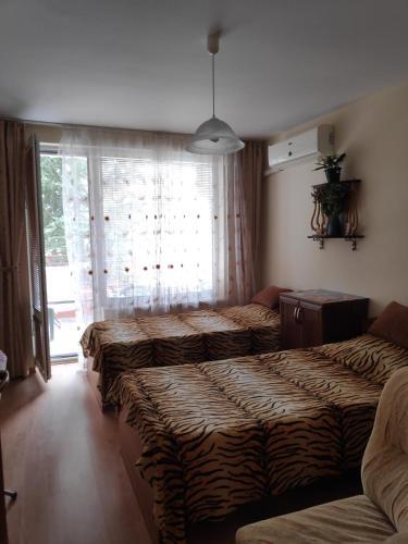 Private Apartment In Fort Noks,panorama Fort Beach, ?????? ?????