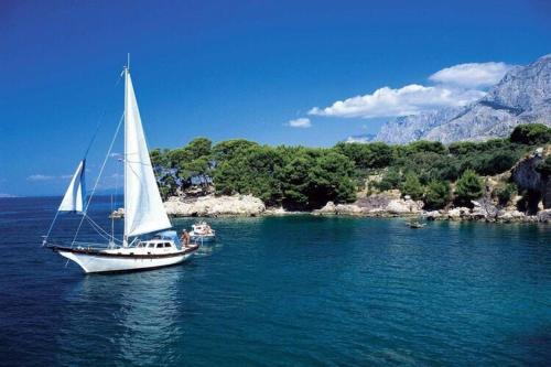Apartments Villa Vesna Podgora - Cdm05026-dyc